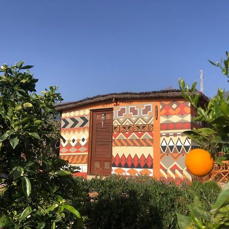 Afrikan Krisant Tenerife, Casa Rural Ecologica Arafo 外观 照片