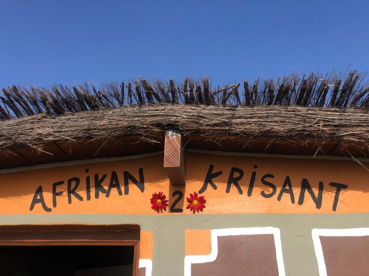 Afrikan Krisant Tenerife, Casa Rural Ecologica Arafo 外观 照片