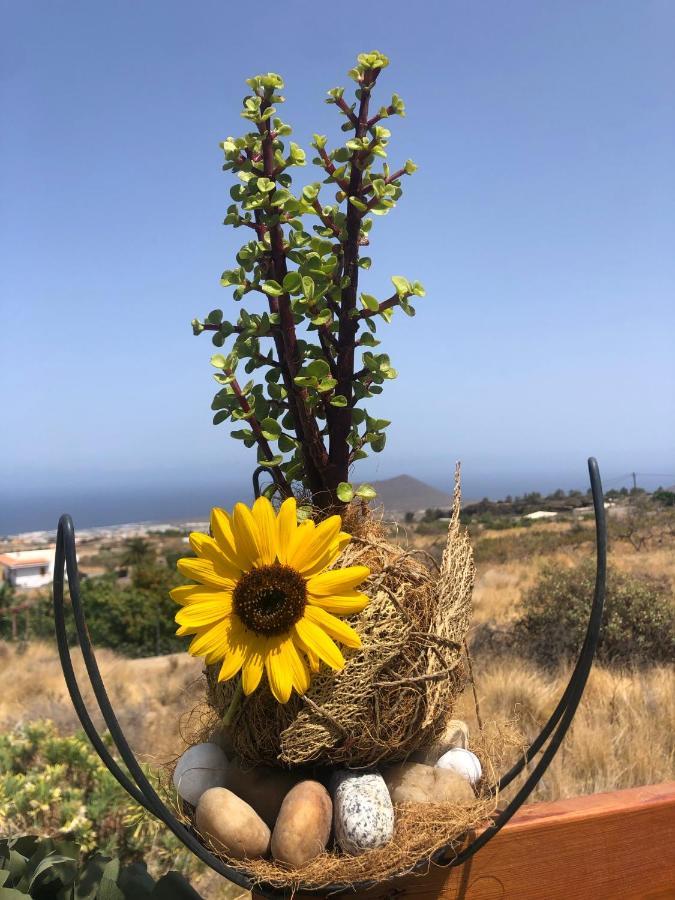 Afrikan Krisant Tenerife, Casa Rural Ecologica Arafo 外观 照片