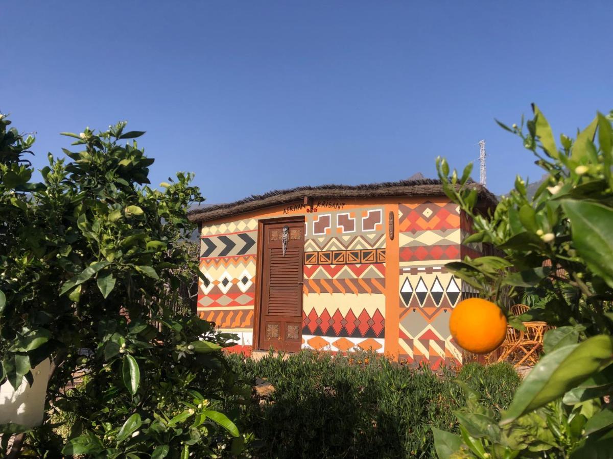 Afrikan Krisant Tenerife, Casa Rural Ecologica Arafo 外观 照片