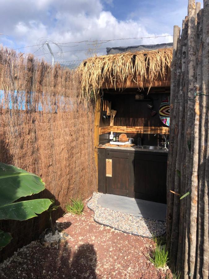 Afrikan Krisant Tenerife, Casa Rural Ecologica Arafo 外观 照片