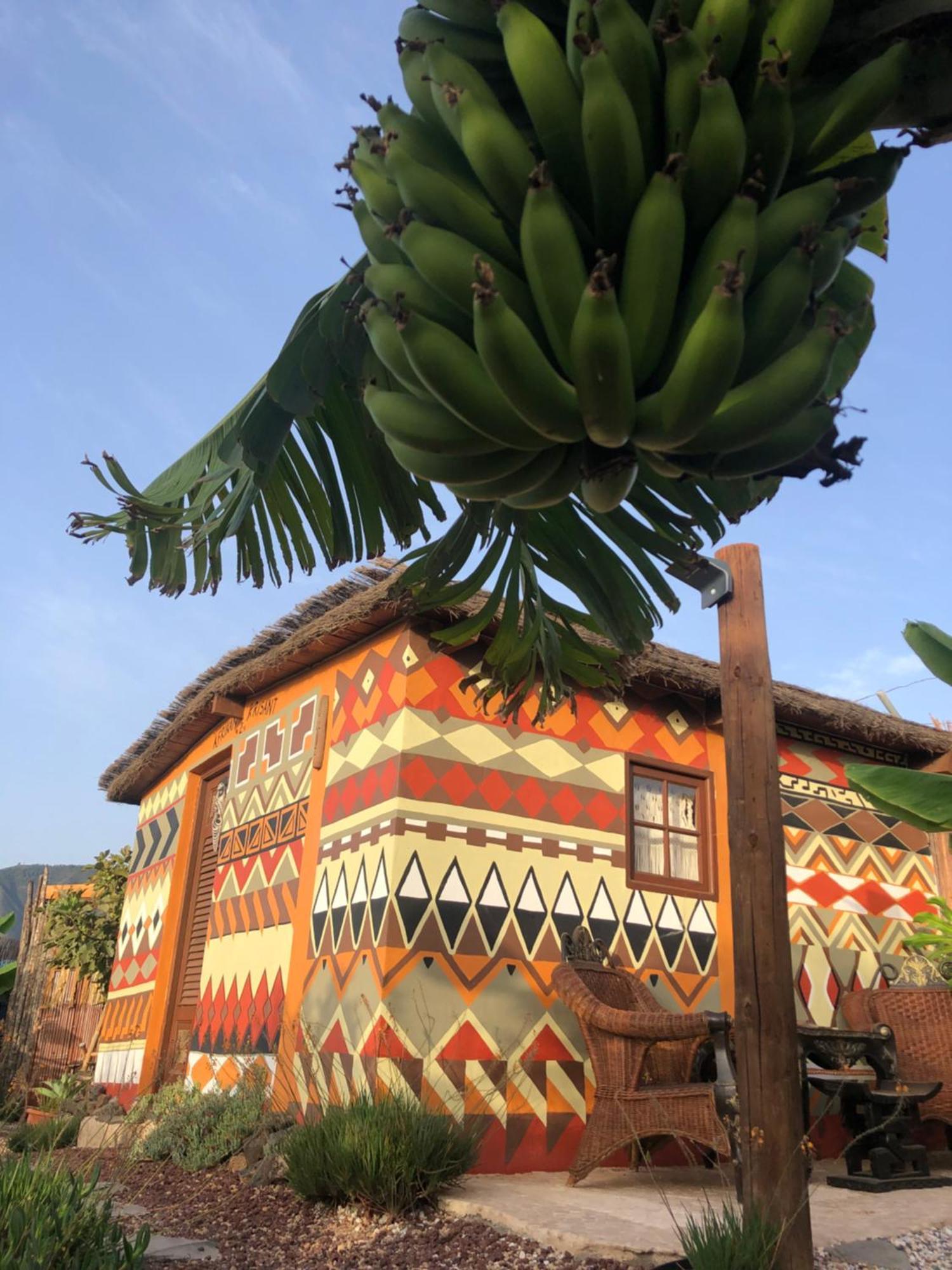 Afrikan Krisant Tenerife, Casa Rural Ecologica Arafo 外观 照片
