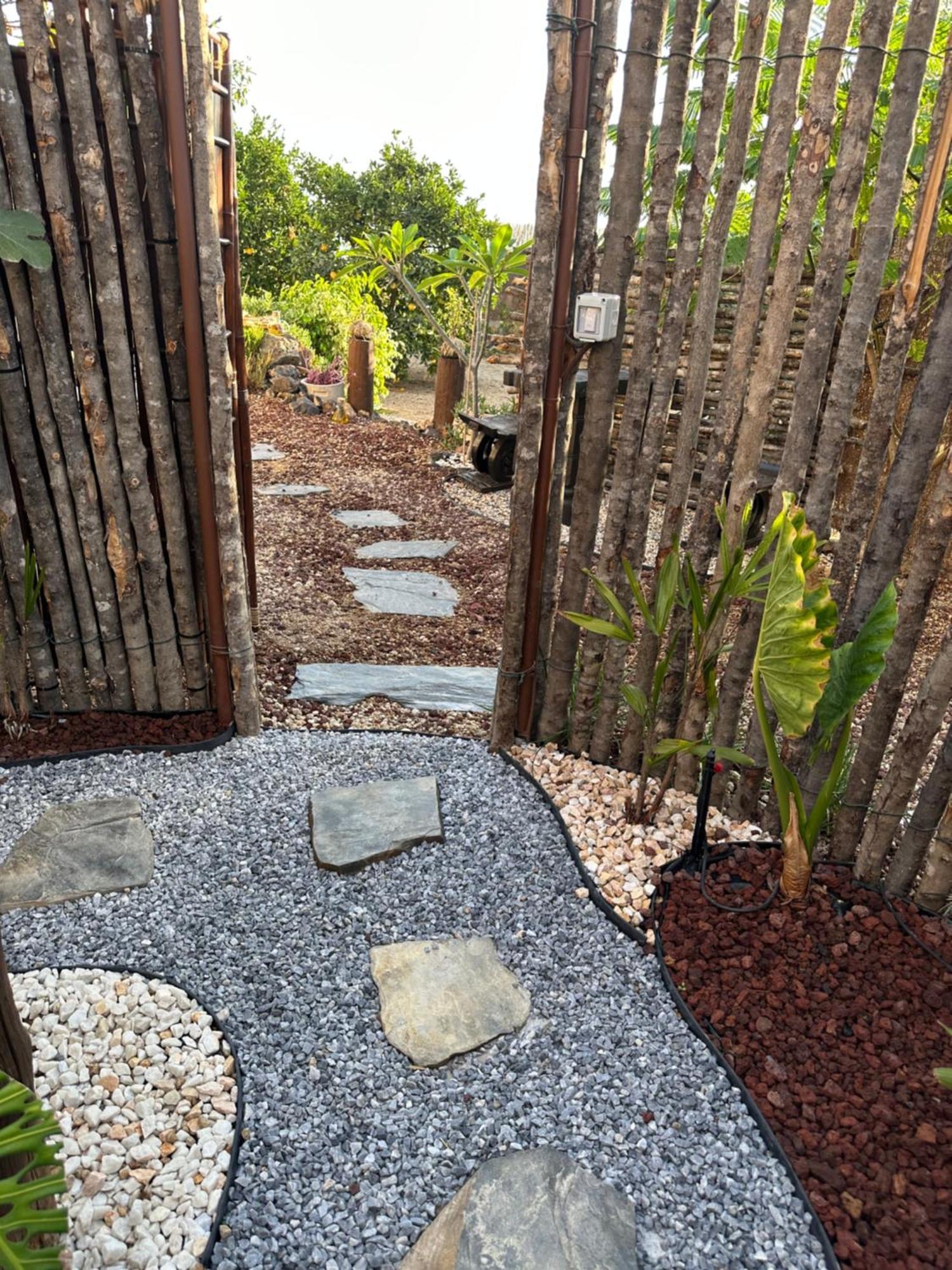 Afrikan Krisant Tenerife, Casa Rural Ecologica Arafo 外观 照片