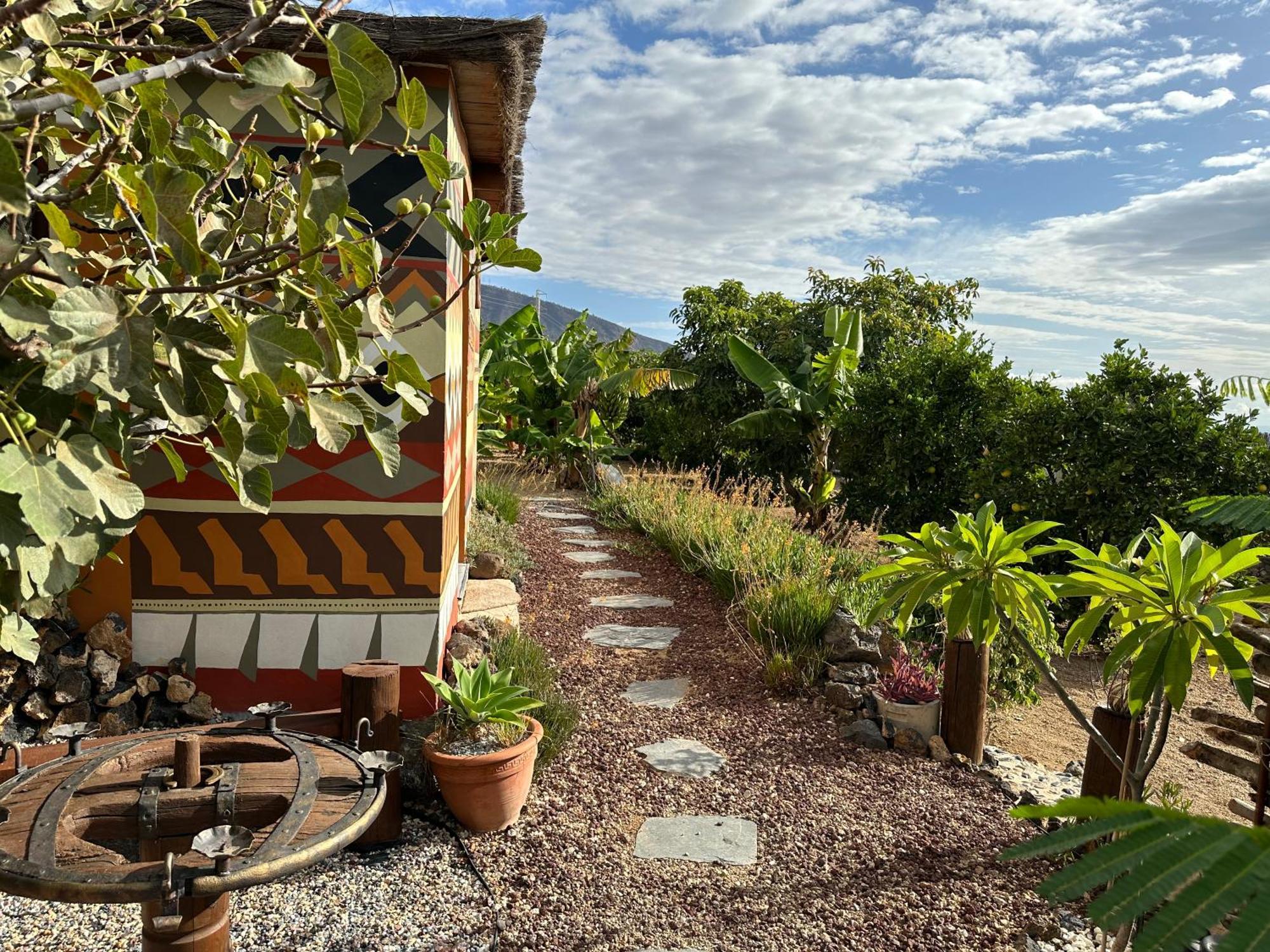 Afrikan Krisant Tenerife, Casa Rural Ecologica Arafo 外观 照片