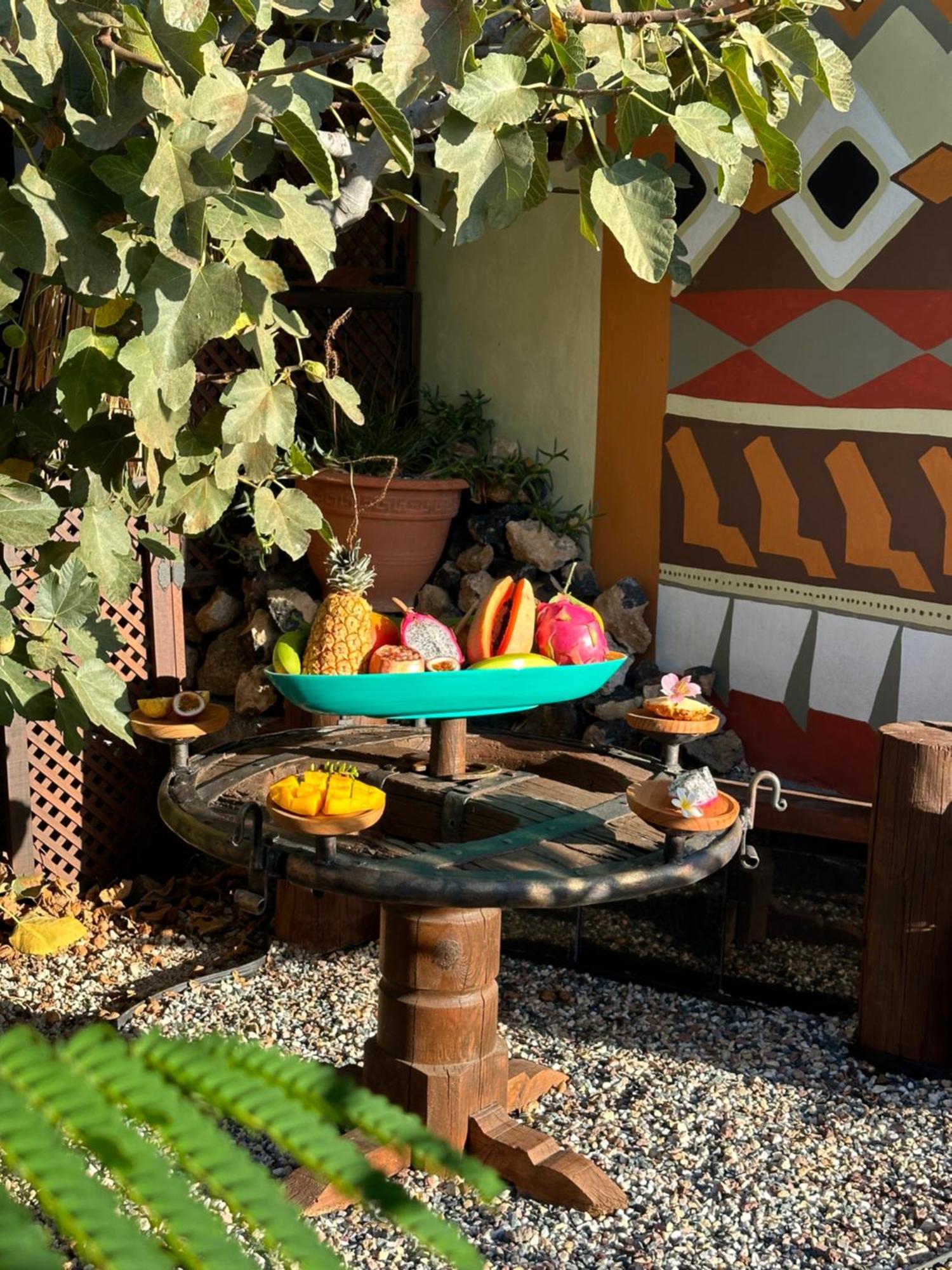 Afrikan Krisant Tenerife, Casa Rural Ecologica Arafo 外观 照片